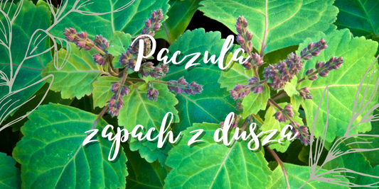 Tajemniczy Aromat Paczuli: Zapach z Duszą