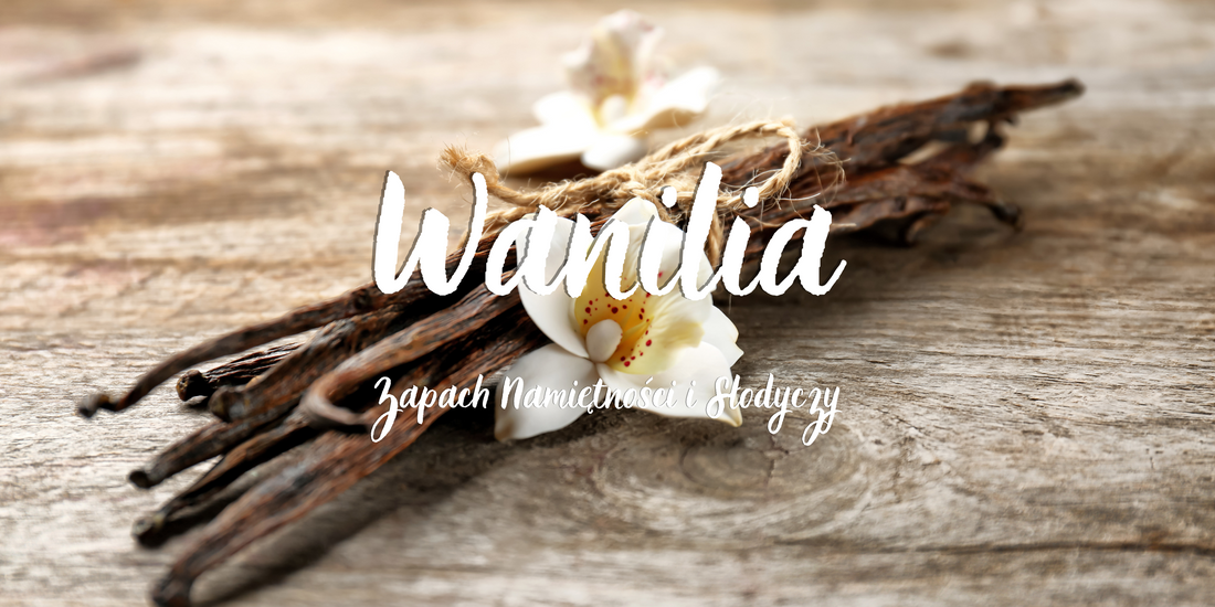 Wanilia: Zapach Namiętności i Słodyczy